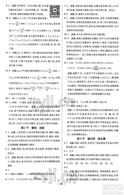 陕西人民教育出版社2023综合应用创新题典中点九年级化学下册沪教版参考答案