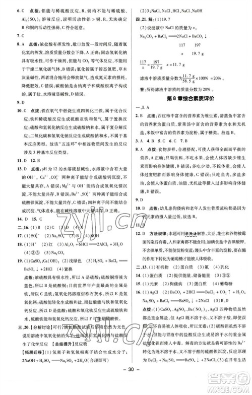 陕西人民教育出版社2023综合应用创新题典中点九年级化学下册沪教版参考答案