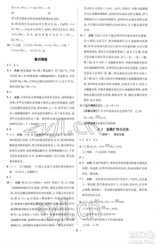 陕西人民教育出版社2023综合应用创新题典中点九年级化学下册科粤版参考答案