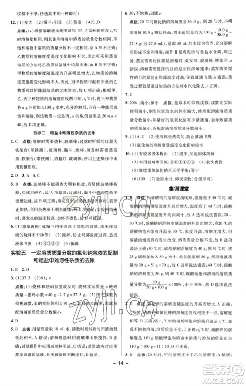 陕西人民教育出版社2023综合应用创新题典中点九年级化学下册科粤版参考答案