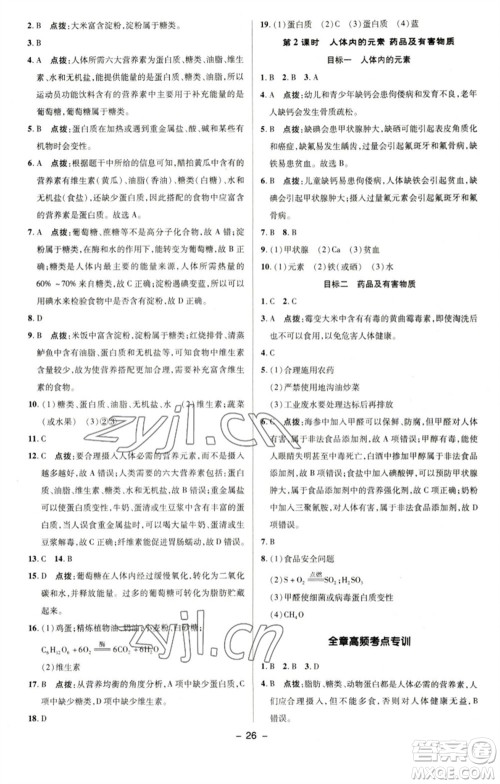 陕西人民教育出版社2023综合应用创新题典中点九年级化学下册科粤版参考答案