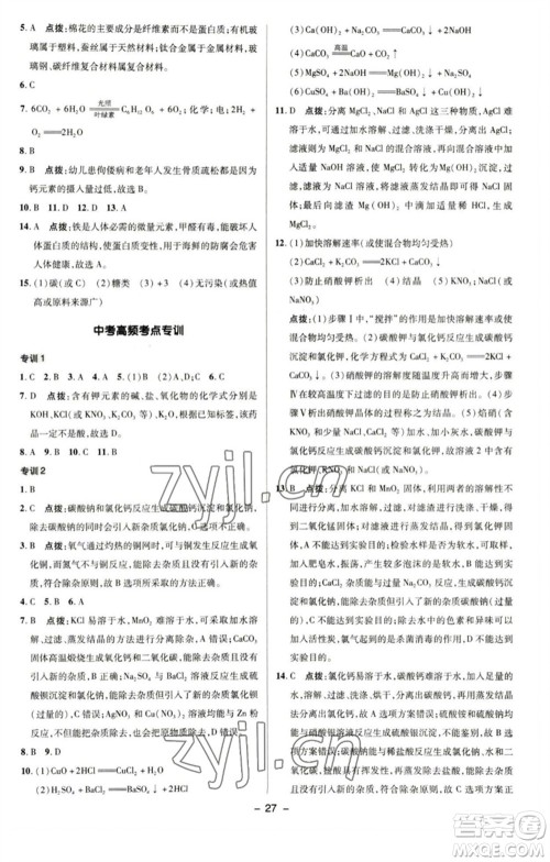 陕西人民教育出版社2023综合应用创新题典中点九年级化学下册科粤版参考答案