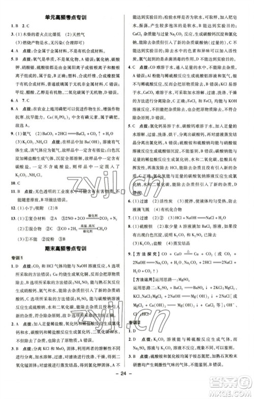 陕西人民教育出版社2023综合应用创新题典中点九年级化学下册鲁教版参考答案 陕西人民教育出版社2023综合应用创新题典中点九年级化学下册鲁教版参考答案