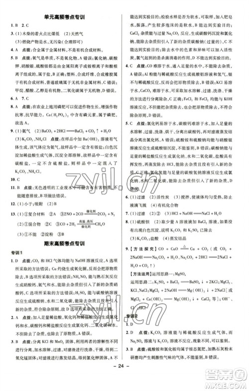 陕西人民教育出版社2023综合应用创新题典中点九年级化学下册鲁教版参考答案