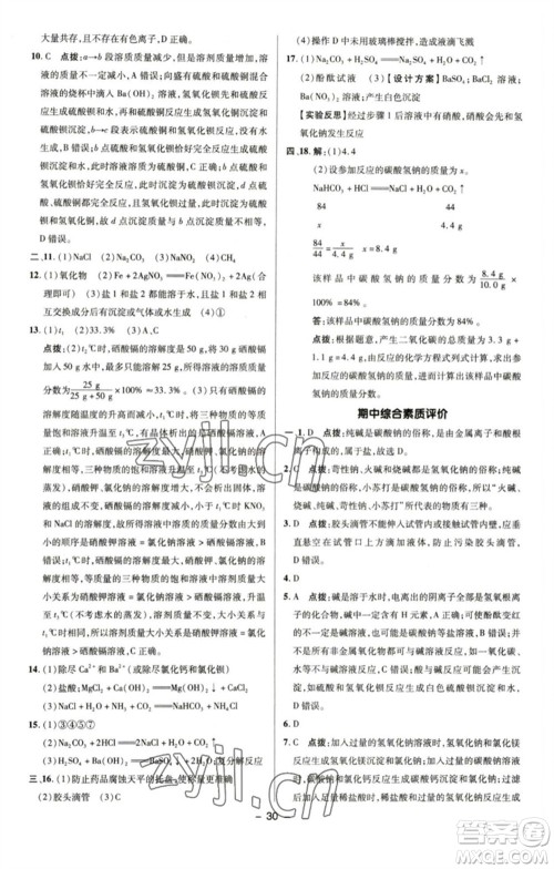 陕西人民教育出版社2023综合应用创新题典中点九年级化学下册鲁教版参考答案