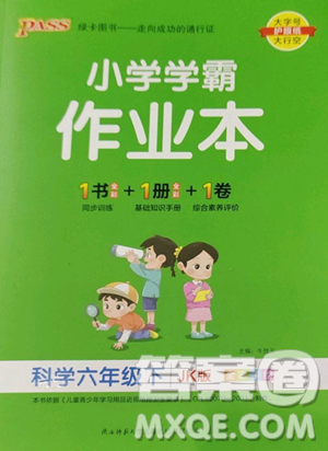 辽宁教育出版社2023小学学霸作业本六年级下册科学教科版参考答案