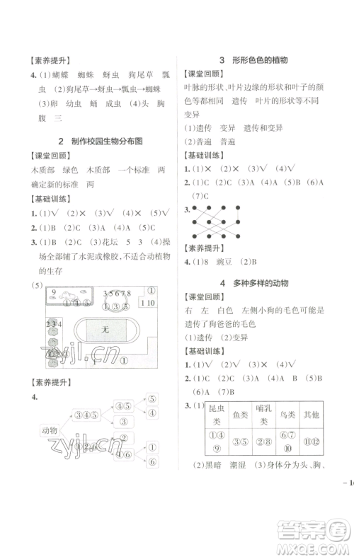 辽宁教育出版社2023小学学霸作业本六年级下册科学教科版参考答案