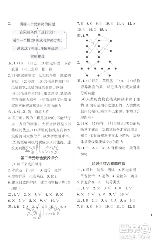 辽宁教育出版社2023小学学霸作业本六年级下册科学教科版参考答案