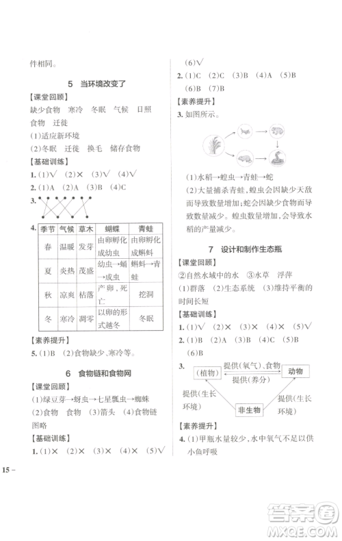 辽宁教育出版社2023小学学霸作业本五年级下册科学教科版参考答案