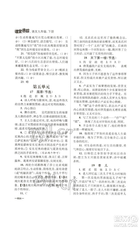 江苏凤凰美术出版社2023课堂追踪九年级语文下册人教版答案