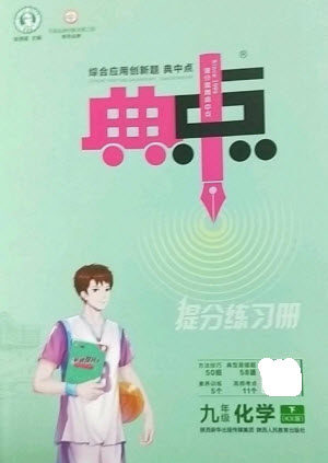 陕西人民教育出版社2023综合应用创新题典中点九年级化学下册科粤版参考答案