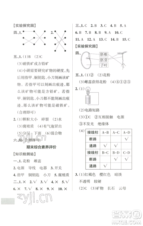 辽宁教育出版社2023小学学霸作业本四年级下册科学教科版参考答案