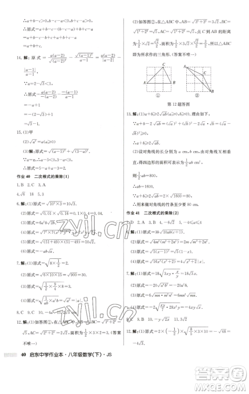 龙门书局2023启东中学作业本八年级下册数学江苏版参考答案