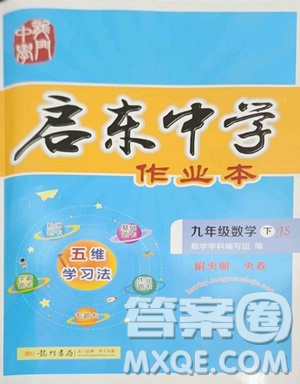 龙门书局2023启东中学作业本九年级下册数学江苏版参考答案