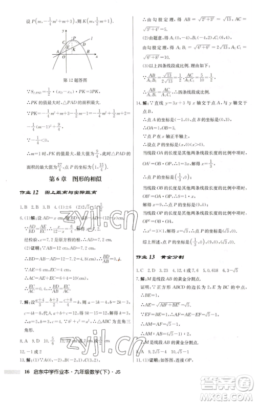 龙门书局2023启东中学作业本九年级下册数学江苏版参考答案