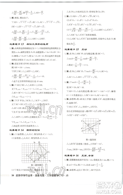 龙门书局2023启东中学作业本九年级下册数学苏科版连淮专版参考答案