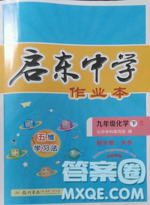 龙门书局2023启东中学作业本九年级下册化学人教版参考答案 龙门书局2023启东中学作业本九年级下册化学人教版参考答案