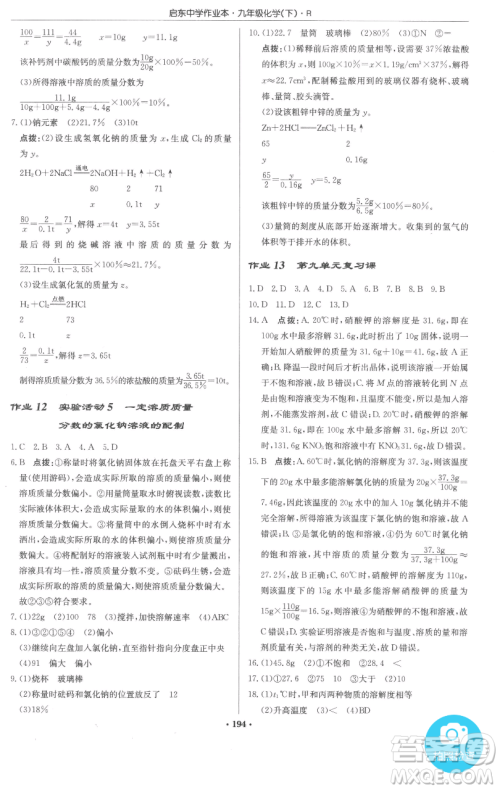 龙门书局2023启东中学作业本九年级下册化学人教版参考答案