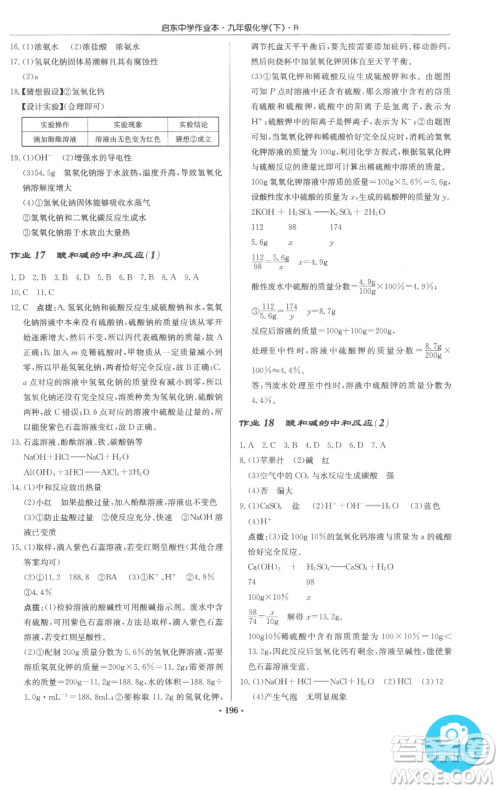 龙门书局2023启东中学作业本九年级下册化学人教版参考答案 龙门书局2023启东中学作业本九年级下册化学人教版参考答案