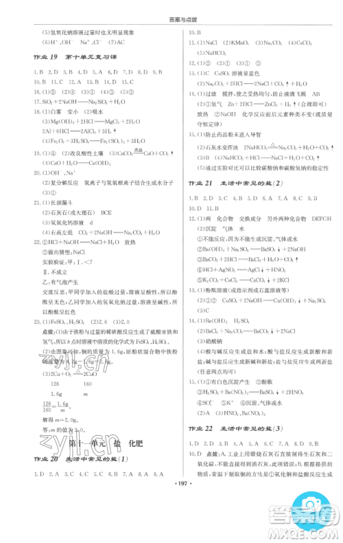 龙门书局2023启东中学作业本九年级下册化学人教版参考答案