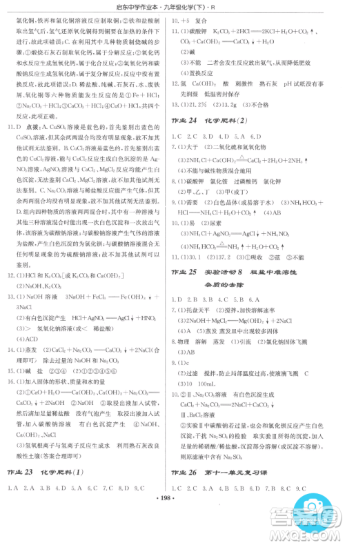 龙门书局2023启东中学作业本九年级下册化学人教版参考答案 龙门书局2023启东中学作业本九年级下册化学人教版参考答案