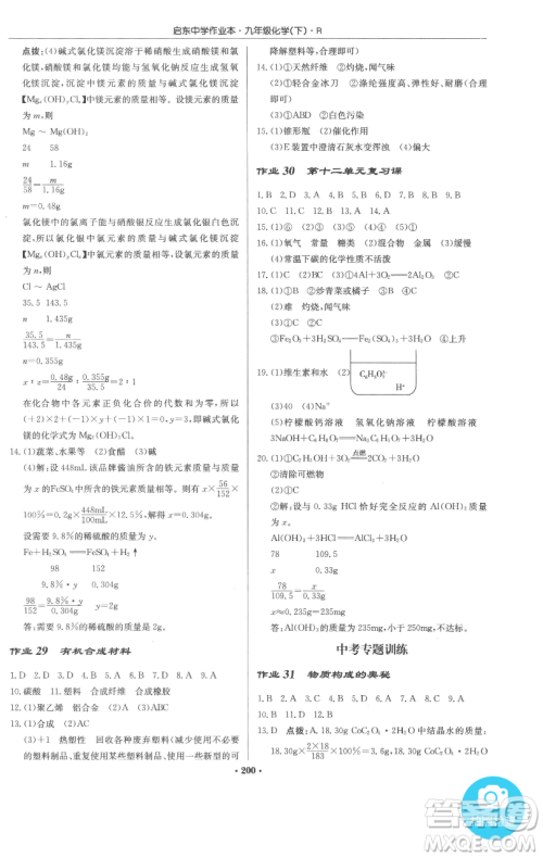龙门书局2023启东中学作业本九年级下册化学人教版参考答案 龙门书局2023启东中学作业本九年级下册化学人教版参考答案