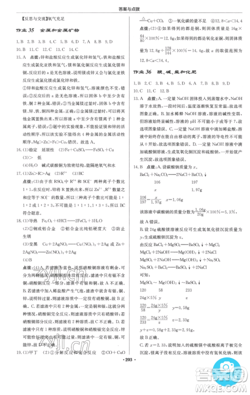 龙门书局2023启东中学作业本九年级下册化学人教版参考答案 龙门书局2023启东中学作业本九年级下册化学人教版参考答案