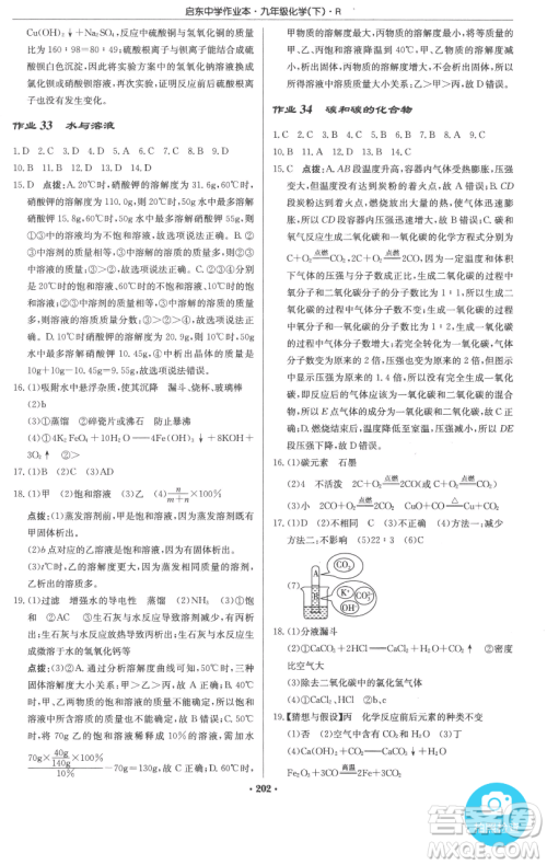 龙门书局2023启东中学作业本九年级下册化学人教版参考答案 龙门书局2023启东中学作业本九年级下册化学人教版参考答案