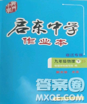 龙门书局2023启东中学作业本九年级下册物理苏科版宿迁专版参考答案