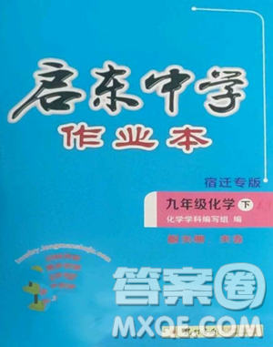 龙门书局2023启东中学作业本九年级下册化学鲁教版宿迁专版参考答案 龙门书局2023启东中学作业本九年级下册化学鲁教版宿迁专版参考答案