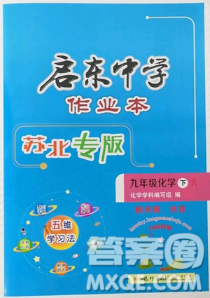 龙门书局2023启东中学作业本九年级下册化学人教版苏北专版参考答案