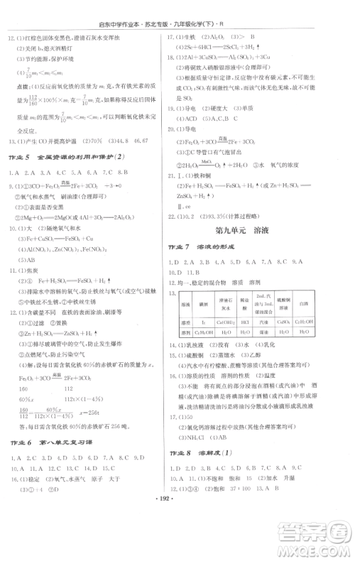龙门书局2023启东中学作业本九年级下册化学人教版苏北专版参考答案