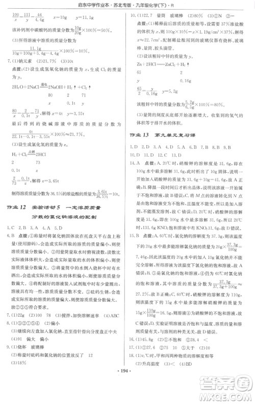 龙门书局2023启东中学作业本九年级下册化学人教版苏北专版参考答案