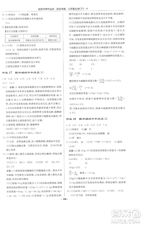 龙门书局2023启东中学作业本九年级下册化学人教版苏北专版参考答案