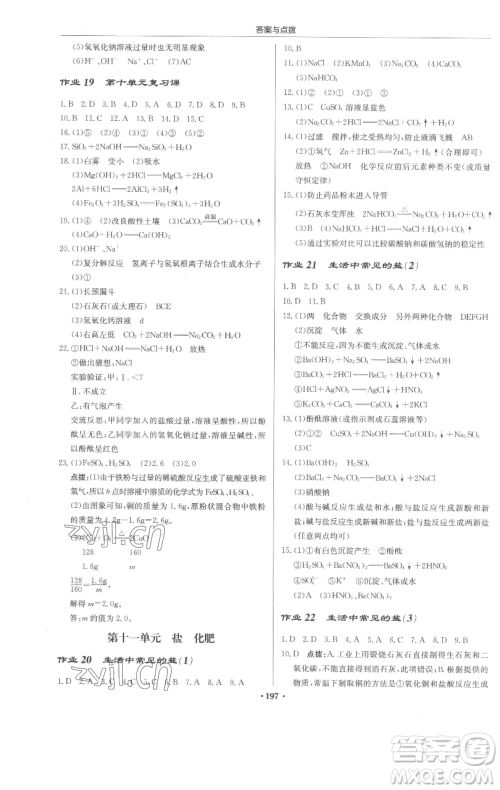 龙门书局2023启东中学作业本九年级下册化学人教版苏北专版参考答案