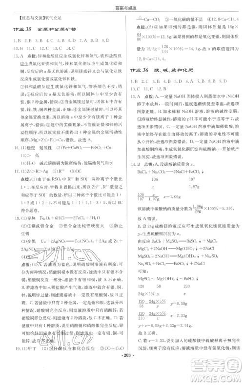 龙门书局2023启东中学作业本九年级下册化学人教版苏北专版参考答案