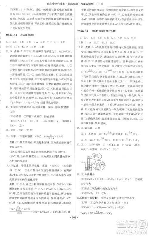 龙门书局2023启东中学作业本九年级下册化学人教版苏北专版参考答案