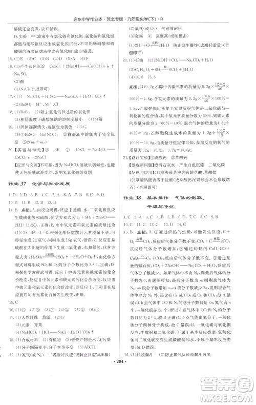 龙门书局2023启东中学作业本九年级下册化学人教版苏北专版参考答案