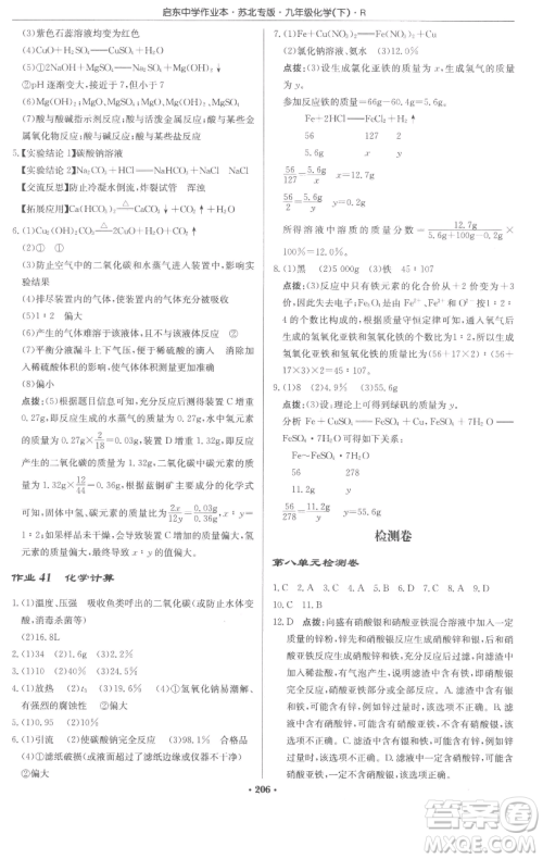 龙门书局2023启东中学作业本九年级下册化学人教版苏北专版参考答案