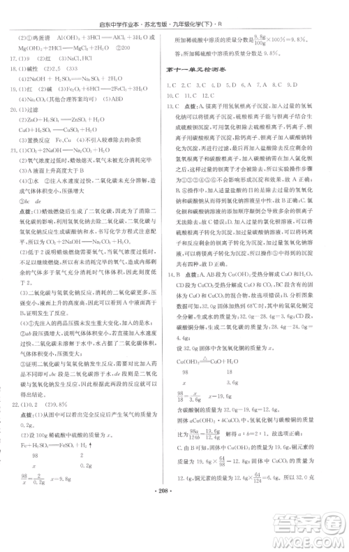 龙门书局2023启东中学作业本九年级下册化学人教版苏北专版参考答案