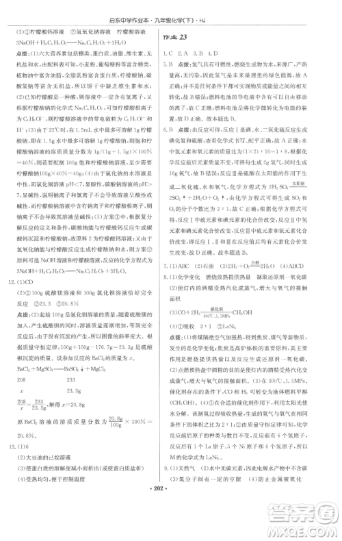 龙门书局2023启东中学作业本九年级下册化学沪教版参考答案