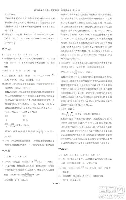 龙门书局2023启东中学作业本九年级下册化学沪教版苏北专版参考答案