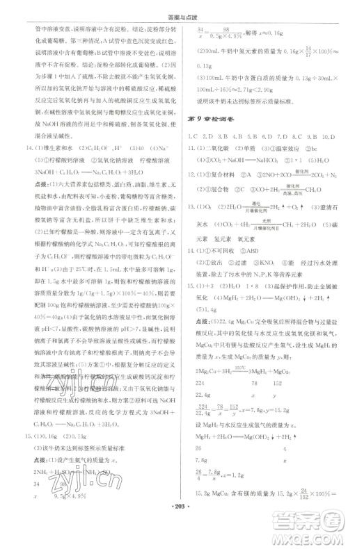 龙门书局2023启东中学作业本九年级下册化学沪教版苏北专版参考答案