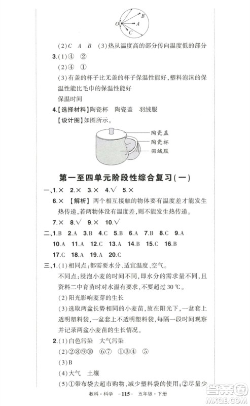 武汉出版社2023状元成才路创优作业100分五年级科学下册教科版参考答案 武汉出版社2023状元成才路创优作业100分五年级科学下册教科版参考答案