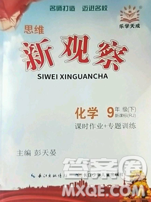 长江少年儿童出版社2023思维新观察九年级下册化学人教版参考答案