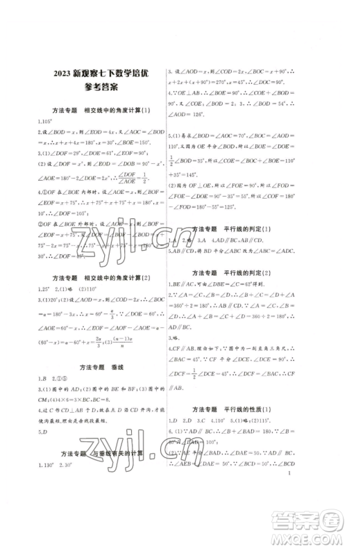 长江少年儿童出版社2023思维新观察培优讲练七年级下册数学人教版参考答案