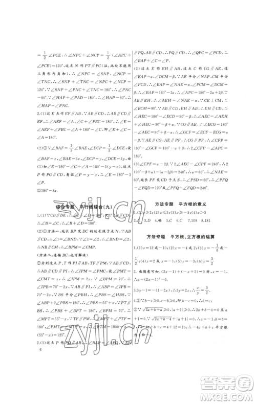 长江少年儿童出版社2023思维新观察培优讲练七年级下册数学人教版参考答案