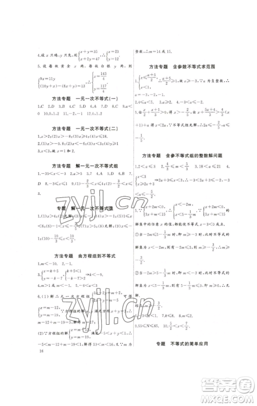 长江少年儿童出版社2023思维新观察培优讲练七年级下册数学人教版参考答案