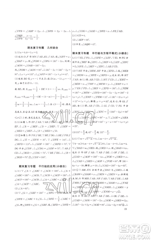 长江少年儿童出版社2023思维新观察培优讲练七年级下册数学人教版参考答案