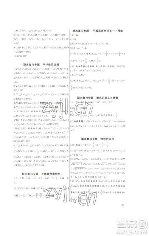 长江少年儿童出版社2023思维新观察培优讲练七年级下册数学人教版参考答案